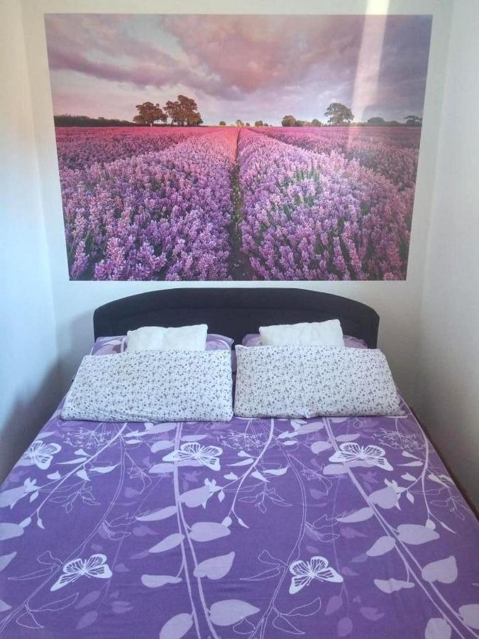 Apartments And Room Lotus Tribunj  Luaran gambar